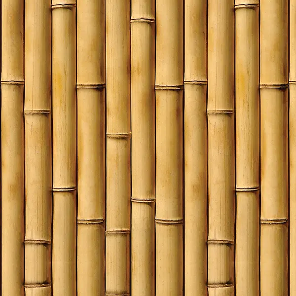 Textura